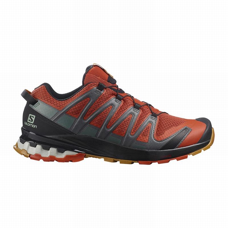 Salomon XA PRO 3D V8 Zapatillas Trail Running Hombre - Negras - Colombia (80369-GXDC)